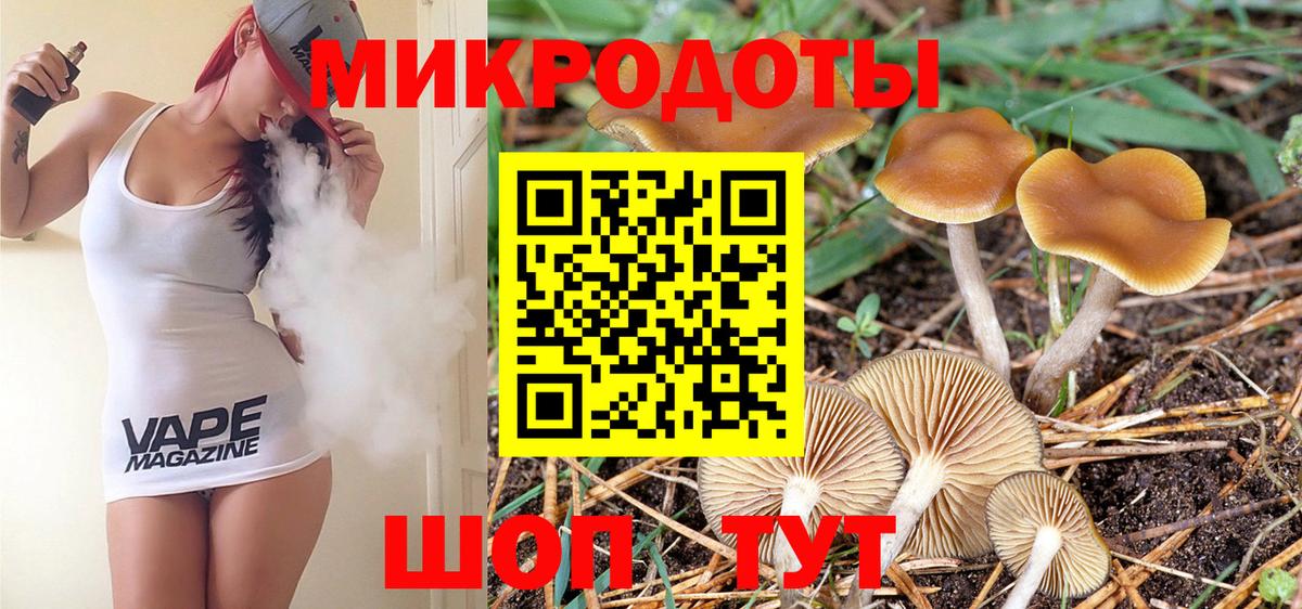 Псилоцибиновые грибы ЛСД  наркошоп  Мончегорск  Вход с VPN 