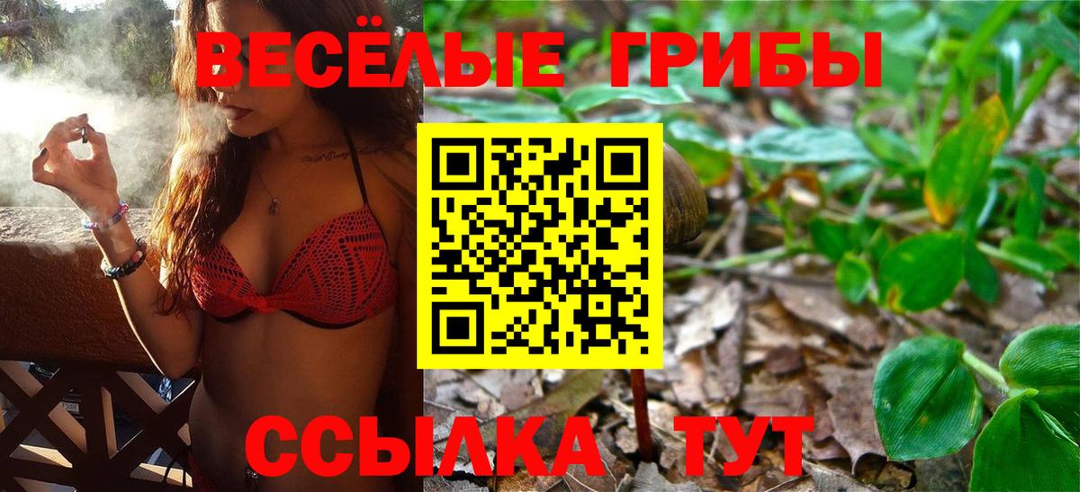 Галлюциногенные грибы прущие грибы Мончегорск